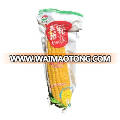 New Fresh Super Sweet Corn with High Quality for Sale