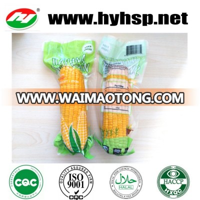 American Canned Vacuum Sweet Corn with high quality