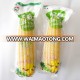 White Corn for sale