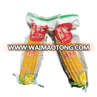 Fresh Sweet Corn